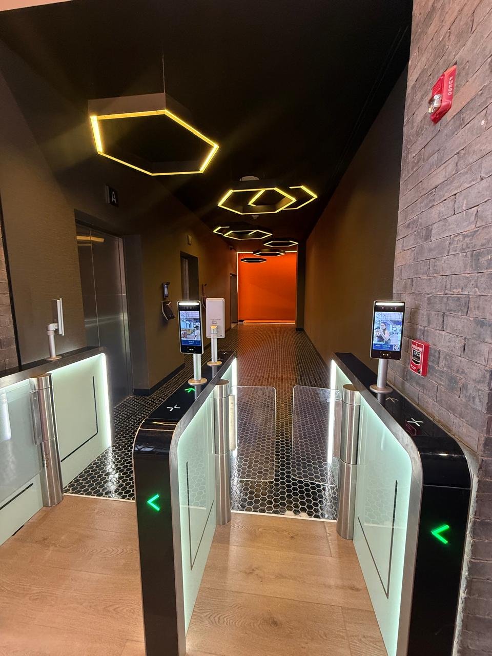 LEVEL Galería 11